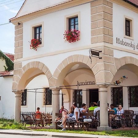 Habansky Dum Hotell Dolni Vestonice Exteriör bild